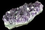 Purple Amethyst Cluster - Uruguay #66780-1